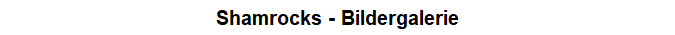 Shamrocks - Bildergalerie